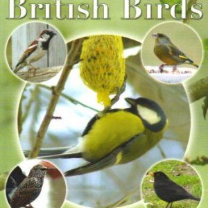 Attracting British Birds  DVD Pre-Owned Region 2