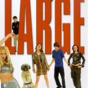 Large DVD (2002) Luke De Woolfson, Edgar (DIR) Cert 15 Pre-Owned Region 2