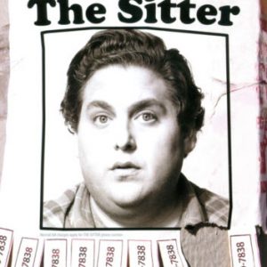 Sitter [2011] [Region 1] [US Impor DVD Pre-Owned Region 2