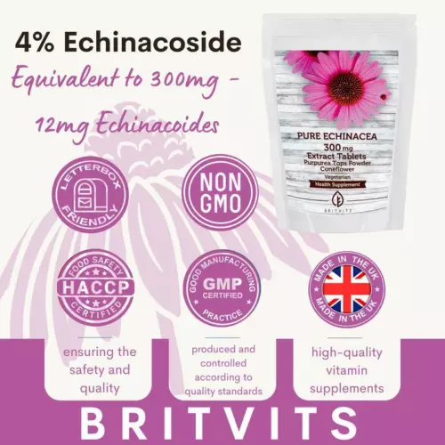 Echinacea 300mg Purpurea Tops Powder 30 Tablets BRITISH VITAMINS